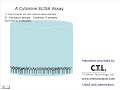 A cytokine ELISA assay