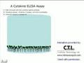 A cytokine ELISA assay