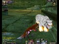 Perfect World - Regular event \"Adventure of Forest Ruins\"