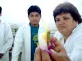 Morfologia de Orquideas - UNALM
