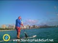 My 300 lbs Friend on Angulo 11'9