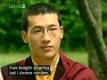 17th Karmapa Thaye Dorje Interview part 1 (in English)