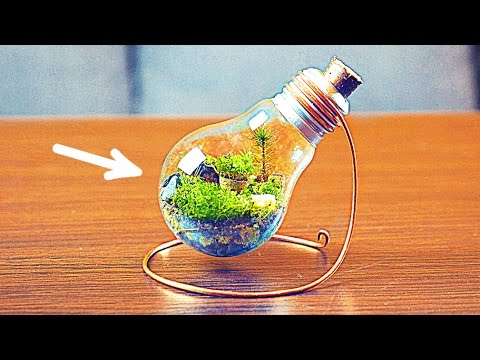 Wie macht man ein ewiges Terrarium!