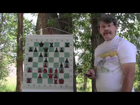 chess knight chess knight