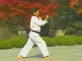 Taeguk8 pal chang