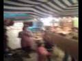 videos de Sagra dei Funghi  Cusano Mutri