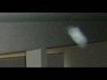 Possible ectoplasm caught on camera