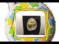 I am your virtual pet