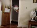 hello-kitty