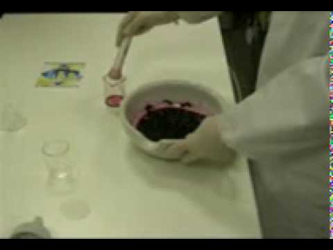 Guarda il video