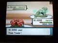 Pokemon WiFi Battle #160: DoctorKen2k vs. TurtwigPal