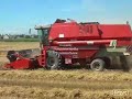 moisson blé moisson blé
