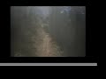 Downieville - Big Boulder