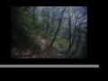 Downieville - Big Boulder