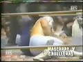 blue demon sr  vs matematico sr  1/3