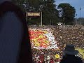 111th Big Game (Cal vs. Stanfurd) Card Stunt Show