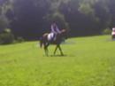 Selano; 3e Op de Gelderse L1 dressuur 04-08-07