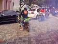 crazy bull wedding escort