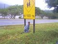 a placa assassina