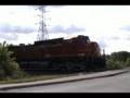 BNSF 5230 west at Crest Hill, IL. Car drives around the fully activated gates! Stupidity caught on film!
