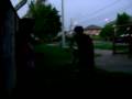 videos de show de la maya (H)