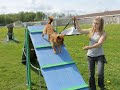 Click here to watch this video Bear