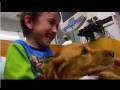Holly The Pet Therapy Dog - Penn State Hershey Children's Miracle Network