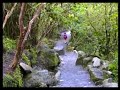 El Otro Lado - Cloud Forest nature reserve for sale, now!- El Otro Lado - Cloud Forest nature reserve for sale, now!-