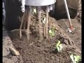 Agricultura de precision - control de malezas