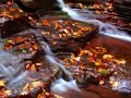 Will Ackerman: Creeks & Cascades (HQ)