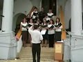 Kollakt�va k�rus, Z�ld f? k�zt �rva k�k iboly�cska