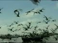 Juan Valentino - Mi Dios Vive