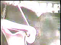 bovine rectal palpation bovine rectal palpation