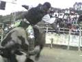 videos de MARAVATIO MICH. (JARIPEO PRESA DE STA INES)