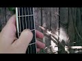 www.zagerguitar.com