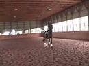 Favorable Terms Flatwork