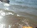 videos de VTS 01