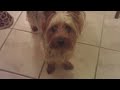 DXG-567V HD 720P (1280x720) - first ever video test DXG-567V HD 720P (1280x720) - first ever video test