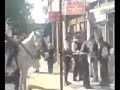 Peckham police stop & search on HORSE!