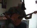 Octave Mandolin Octave Mandolin