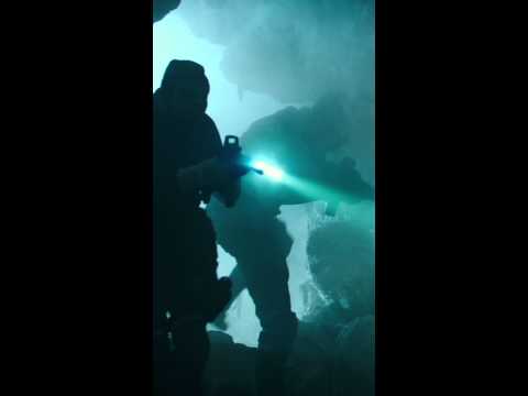 【忍者龜：變種世代】動態海報－多納太羅