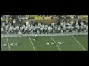 Terry Love Highlights 2
