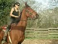 retraining-ex-race-horse-gelanor-part-4.html