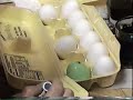 easter eggs 1995
