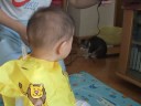 剪頭髮