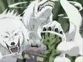 kiba e kankuro vs sakon/ukon