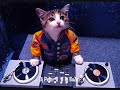 Dj Peter B. & Dj BoZo - Your Ears Dj Peter B. & Dj BoZo - Your Ears