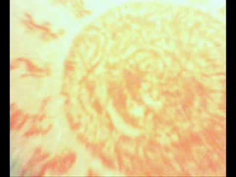 Lord Open - SUNSHINESUN