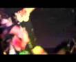 Ninja Academy - Neckface [live]