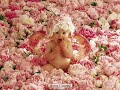 Sweet Baby ... śliczne dzieci ;) Zabawne dzieci ;)